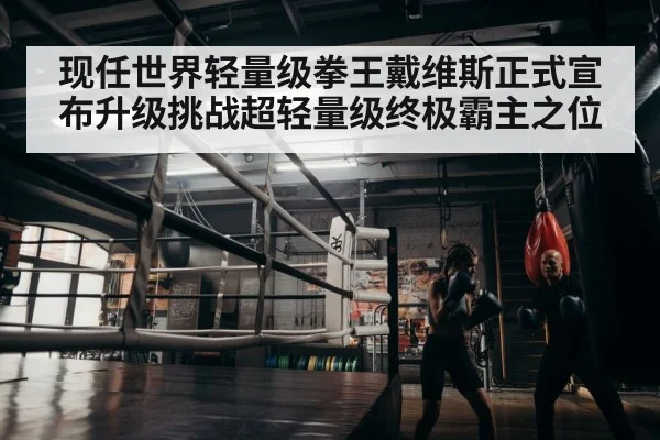 boxer training