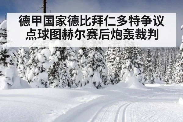 德甲国家德比拜仁多特争议点球图赫尔赛后炮轰裁判